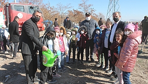 ÇAY İLÇESİNDE 2 BİN AĞAÇ FİDANI TOPRAKLA BULUŞTU