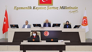İL ÖZEL İDARESİ 2022 YILI BÜTÇESİ 215 MİLYON TL