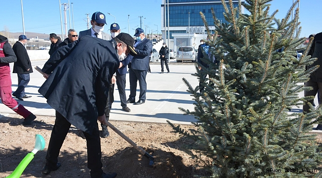 İscehisar İlçemizde Fidanlar Toprakla Buluştu