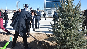 İscehisar İlçemizde Fidanlar Toprakla Buluştu