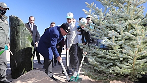 Milli Ağaçlandırma Günü’nde 15 Bin Fidan Toprakla Buluştu