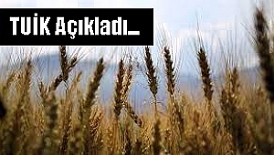 Bitkisel Üretim İstatistikleri, 2021