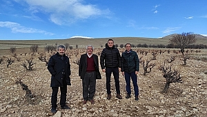  Dinar’da Bağcılığı Geliştirmek Amacı ile Çalışma Başladı