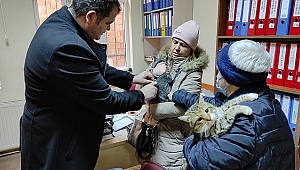  Dinar'da Kedi, Köpeklerde Kimliklendirme Çalışmaları