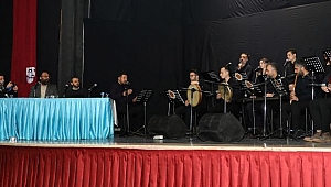 MEVLÂNÂ´YI ANLAMAK 