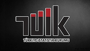 Sağlık Harcamaları İstatistikleri, 2020