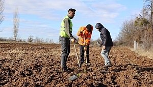 TCDD GELECEĞE NEFES İÇİN AĞAÇ DİKTİ