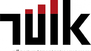 Türkiye genelinde Kasım ayında 178 bin 814 konut satıldı