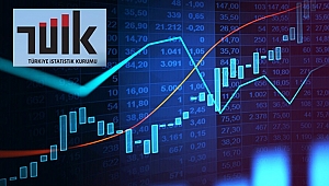 Yurt Dışı Üretici Fiyat Endeksi, Kasım 2021