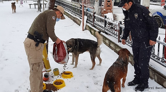 Afyonkarahisar polisi sokak hayvanlarını unutmadı..