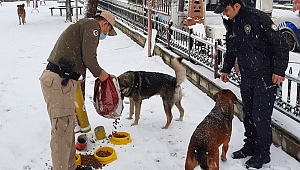 Afyonkarahisar polisi sokak hayvanlarını unutmadı..
