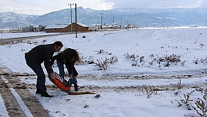  Kaymakam Ateş eşi ile birlikte sokak hayvanlarına mama bıraktı
