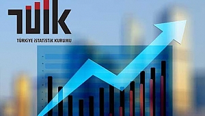 Yurt içi üretici fiyat endeksi (Yİ-ÜFE) yıllık %79,89, aylık %19,08 arttı