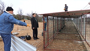 Dinar'da pitbul cinsi köpeklerin konulacağı alan yapılıyor.! 