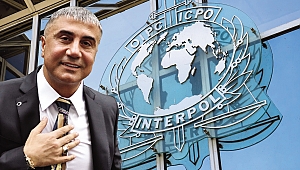 Sedat Peker 194 Ülkede kırmızı bültenle aranıyor..