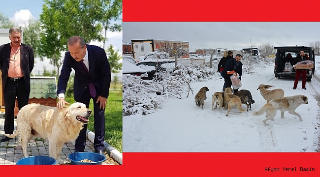 Taytak’ın, sokak hayvanlarına verilmek üzere esnaf Sayar’a gönderdiği mamalar dağıtıldı.