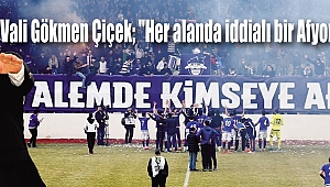 Vali Gökmen Çiçek; 