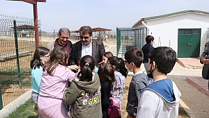  4 Nisan Dünya Sokak Hayvanları gününde anlamlı ziyaret