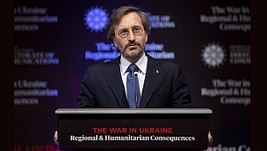 ALTUN: TÜRKİYE BÖLGEDE SORUNLARIN ÇÖZÜMÜ İÇİN ÇABALAYAN EN ÖNEMLİ FAKTÖRDÜR