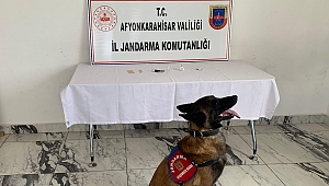 ANTALYA İLİNDEN YOLA ÇIKTI, AFYON JANDARMA YAKALADI.!