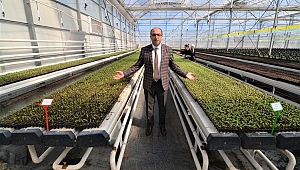 BAŞKAN MUSTAFA ÇÖL ÇİÇEK SERASINI ZİYARET ETTİ