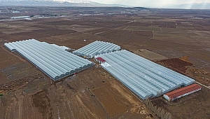 BAŞKAN MUSTAFA ÇÖL’DEN YATIRIM VE İSTİHDAM ATAĞI