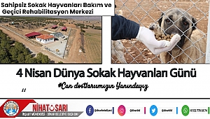 Başkan Sarı’dan Dünya Sokak Hayvanları Günü Mesajı 
