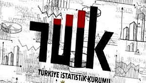 Mevsim etkisinden arındırılmış istihdam oranı %46,6 oldu