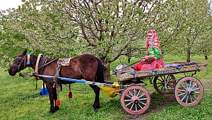 Sultandağı Kiraz Çiçeği Foto Safari'de Kiraz Çiçeği Fotoğraf Sanatçılarıyla Buluştu