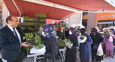 BAŞKAN MUSTAFA ÇÖL ÜCRETSİZ FİDE DAĞITIMI YAPTI