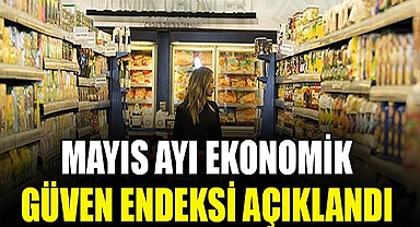 Ekonomik güven endeksi 96,7 oldu..