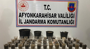 Kenevir Tohumu Eken Şahıs Yakalandı.!!