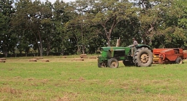 Tarım ürünleri üretici fiyat endeksi (Tarım-ÜFE) yıllık %118,53, aylık %17,76 arttı