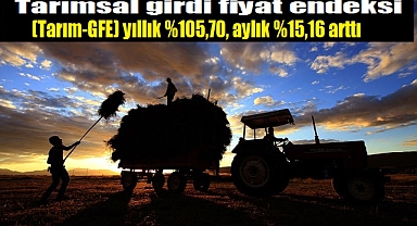 Tarımsal girdi fiyat endeksi (Tarım-GFE) yıllık %105,70, aylık %15,16 arttı.!