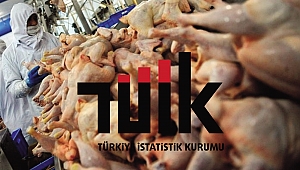 Tavuk eti üretimi 202 bin 938 ton, tavuk yumurtası üretimi 1,65 milyar adet olarak gerçekleşti