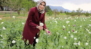 Vali Yiğitbaşı Adım Adım İlçeleri Ziyaret Ediyor