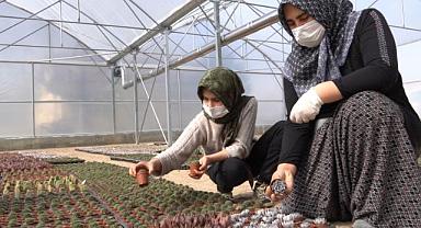 AFYONKARAHİSAR KADIN KÜLTÜR KOOPERATİFLERİNDEN GÜZEL HABER..