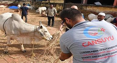 CANSUYU 2022 KURBANA HAZIR..