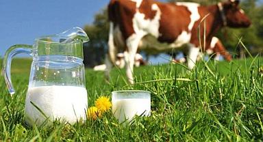 Ticari süt işletmelerince 859 bin 712 ton inek sütü toplandı