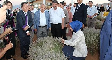  Dinar'da Lavanta Hasat Şenliği Yapıldı