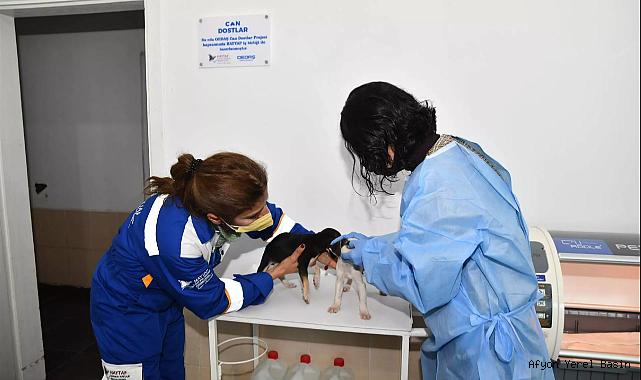 OEDAŞ’IN TEDAVİ ODASINDA ‘CAN DOSTLAR’ SAĞLIĞINA KAVUŞUYOR