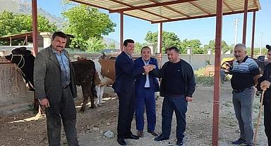  Tatarlı’da Kurban Bayramı'nın yaklaşmasıyla hayvan pazarı kuruldu