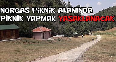 Dinar Norgas Piknik Alanında Temizlik Yapıldı
