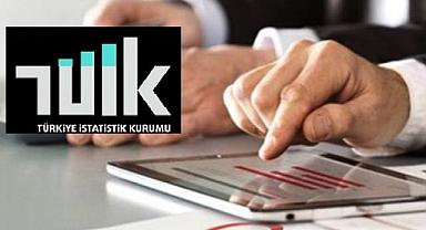 Girişim sayısı ve istihdamda en yüksek payı hizmet sektörü oluşturdu