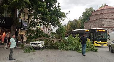 Şiddetli rüzgar yüzünden arabanın üzerine ağaç devrildi