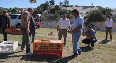 Döğer’de çil keklikler doğaya salındı