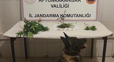 Esrar Maddesi Ele Geçirildi.!!