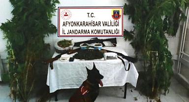 YASA DIŞI KENEVİR EKEN ŞAHIS TUTUKLANDI.!