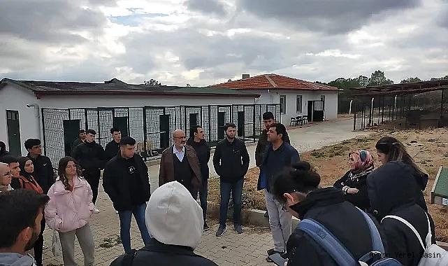 Dinar'da Üniversite Öğrencilerinden Sokak Hayvanlarına ziyaret