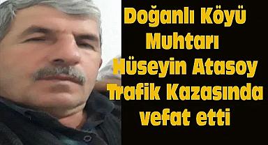 Doğanlı Köyü Muhtarı Trafik Kazasında Yaşamını Yitirdi